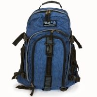 Рюкзак молодежный "Polar", цвет: синий П955Ж-04 артикул 1574b.